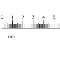 AA019